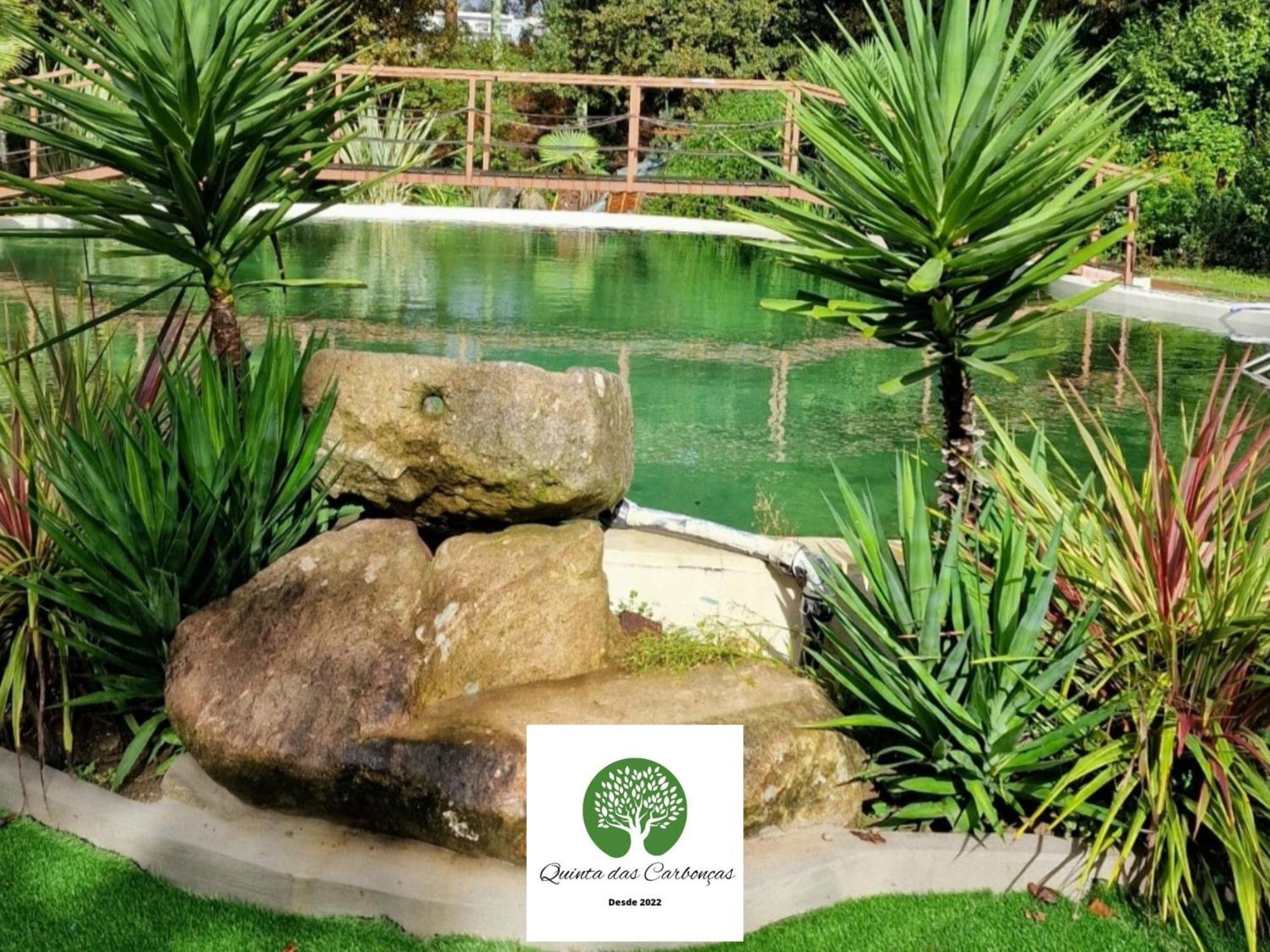 Quinta Das Carboncas Fafe Buitenkant foto